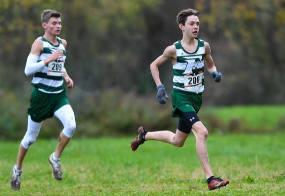 mLive XC picture