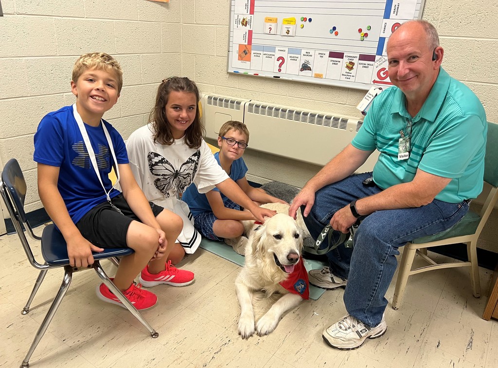 Therapy Dog 1