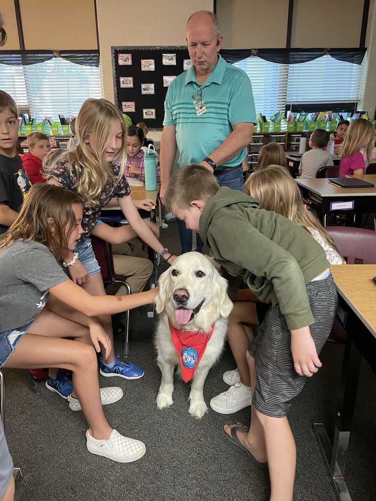 Therapy Dog 2